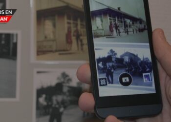 Programa Alternativo de Detención