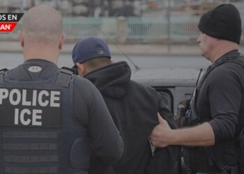 Programa Alternativo de Detención