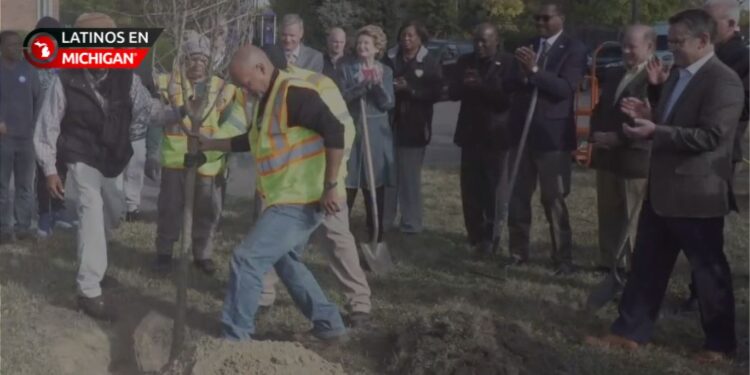 Iniciativa para plantar 75 mil árboles