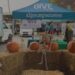 Ann Arbor Farmers Market tendrá evento «trick-or-treat» el miércoles