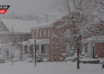 Alertas de tormenta de invierno publicadas para Metro Detroit