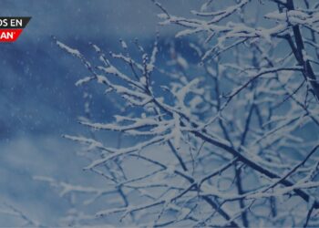 Aviso de clima invernal para el sureste de Michigan el jueves y viernes