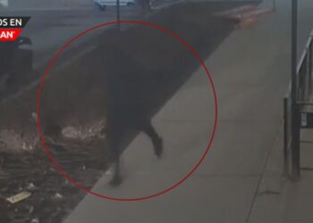 Policía busca pistas sobre sospechoso que mató a un hombre en Detroit