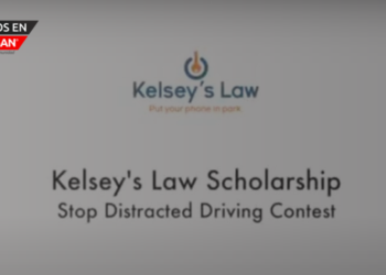 Michigan Auto Law