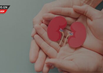 Abril es el Mes de la Donación de Vida: casi la mitad de los estadounidenses desconocen la donación de órganos en vida