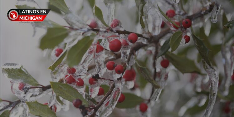 Advertencia de congelamiento emitida en la mayor parte del sureste de Michigan el martes temprano