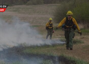 Aumenta el riesgo de incendios en el sur de Michigan