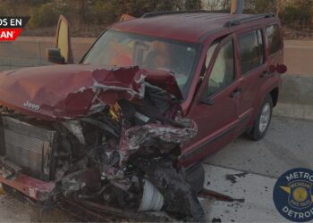 Conductor en sentido contrario causa choque frontal  en la I-696. Una persona murió