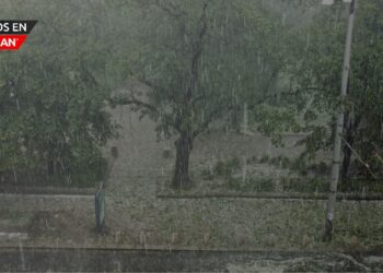 Tornado confirmado,  y cientos de cortes de energía el jueves en el condado de Monroe