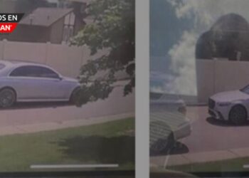 Ofrecen recompensa de $50,000 por información de robo a cartero en Southfield