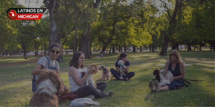 Este sábado entrada gratuita en los parques para perros del Condado de Oakland