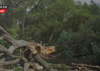 Whitmer declara el estado de emergencia en los condados de Wayne y Monroe