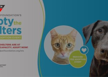 El refugio de animales del condado de Livingston se une a la Fundación BISSELL para mascotas para «Vaciar los refugios»