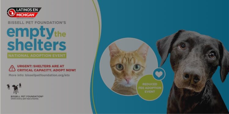 El refugio de animales del condado de Livingston se une a la Fundación BISSELL para mascotas para «Vaciar los refugios»