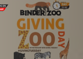 ¡Celebra el #GivingZOODay con el zoológico de Binder Park!