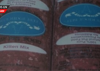 Retiran del mercado alimentos para gatos y perros por riesgo de salmonela y listeria