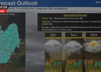 Fin de semana con ráfagas y nieve ligera en el sureste de Michigan