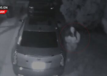 Autoridades buscan a mujer que irrumpió en vehículos en Mount Clemens