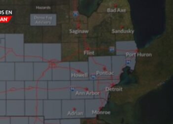 Niebla densa afecta al sureste de Michigan; se esperan más lluvias