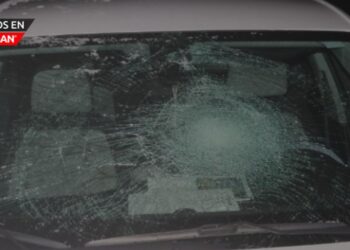 Vándalos rompen parabrisas en el condado de Macomb y huyen en una camioneta Ford