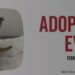 No te lo pierdas: más de 50 perros esperan por ti en el evento de adopción del Orchard Mall