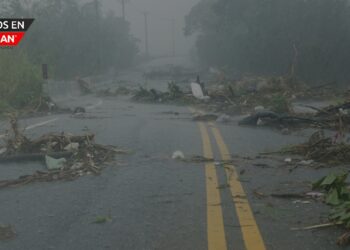 Semana de Concientización sobre el  clima severo: DIFS ofrece consejos sobre seguros a los consumidores