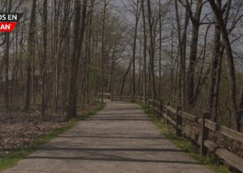 Senderos naturales mejorados en Oakwoods Metropark abren el jueves
