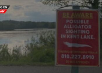 Alerta en Kensington Metropark: Posible avistamiento de un caimán preocupa a las autoridades