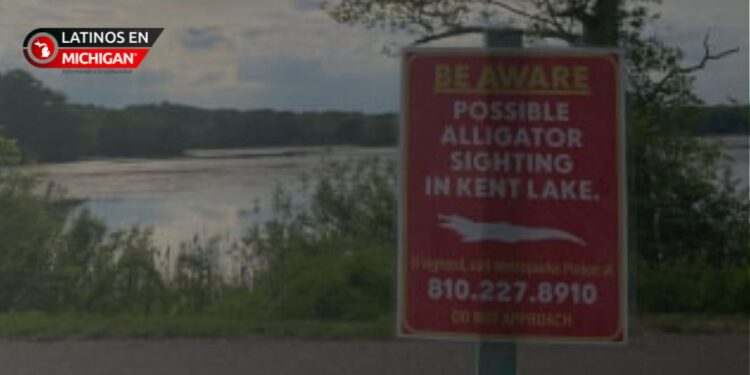 Alerta en Kensington Metropark: Posible avistamiento de un caimán preocupa a las autoridades