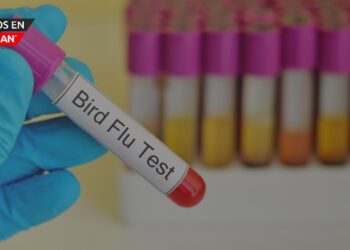 Michigan confirma primer caso humano de gripe aviar