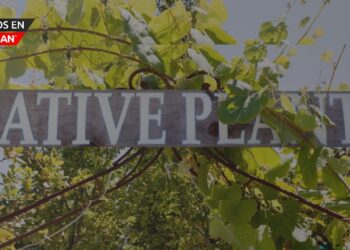 Vuelve la Expo de Plantas Nativas a Ann Arbor este fin de semana