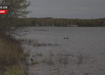 DNR de Michigan inicia subastas de tierras excedentes el viernes