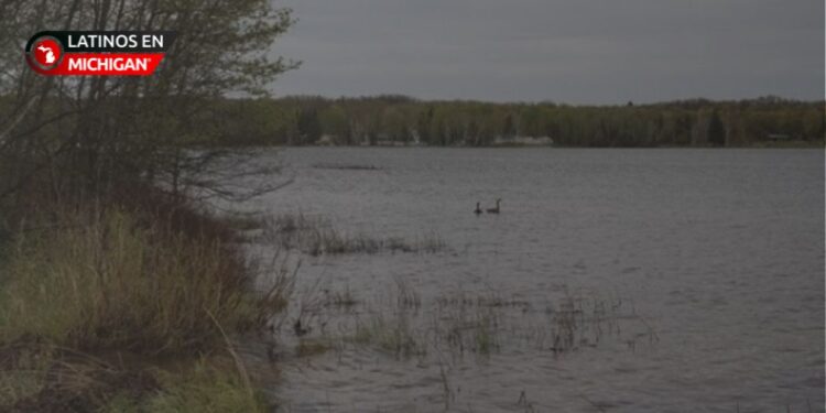 DNR de Michigan inicia subastas de tierras excedentes el viernes