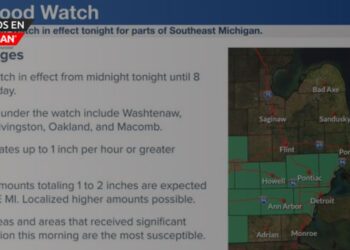 Servicio Meteorológico Nacional emite alerta de inundaciones para varios condados de Michigan