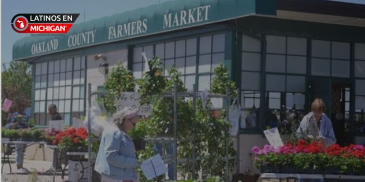 Eventos para fomentan hábitos saludables en adultos mayores en Oakland