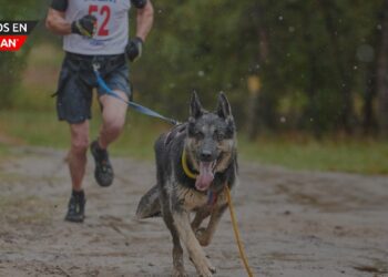 Carrera Tails & Trails: ¡Corre junto a tu perro en Clarkston!