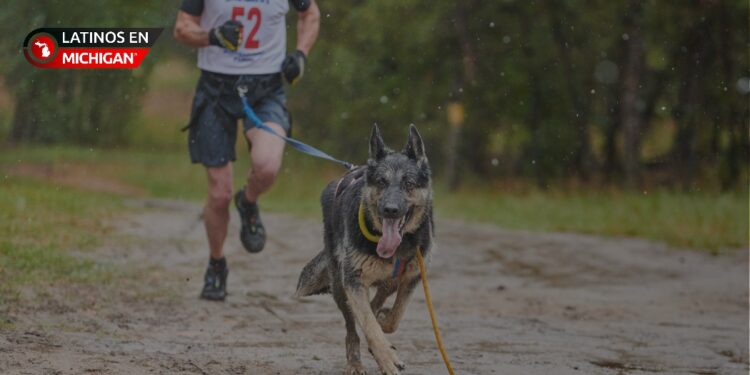 Carrera Tails & Trails: ¡Corre junto a tu perro en Clarkston!