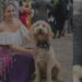¡Evento «Pirates & Pups» invita a llevar a tus mascotas!