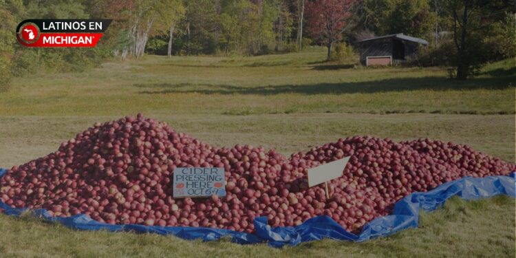 Otoño en Michigan: Un recorrido por sus granjas y molinos de sidra