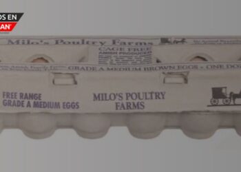 La FDA eleva a riesgo alto el retiro de huevos por contaminación con salmonela