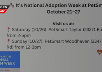 Semana Nacional de Adopción: Encuentra a tu nuevo mejor amigo en PetSmart