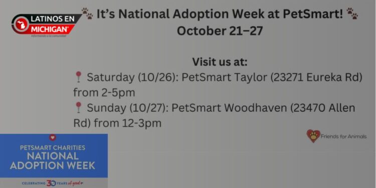 Semana Nacional de Adopción: Encuentra a tu nuevo mejor amigo en PetSmart
