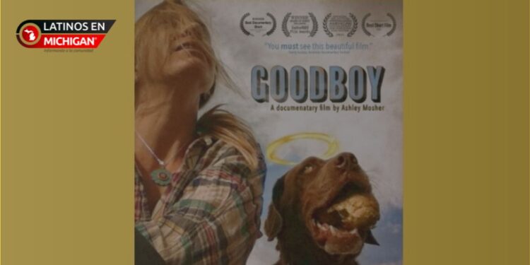 ¡Únete a una noche de cine y solidaridad para apoyar a las mascotas del refugio!