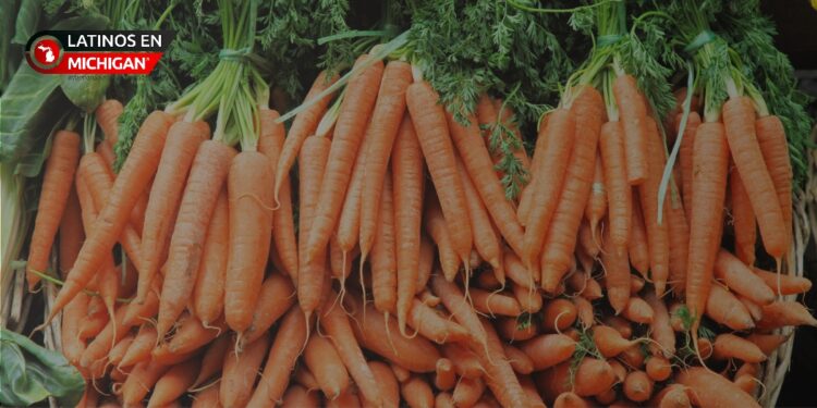Investigación de brote de E. coli en zanahorias orgánicas