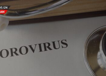 Aumento de casos de norovirus en EE.UU.: Detalles y recomendaciones
