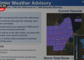 Aviso de clima invernal para el sureste de Michigan