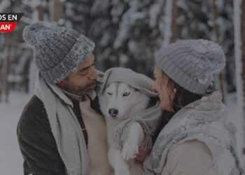 Cómo proteger a tus mascotas durante el frío extremo en Michigan