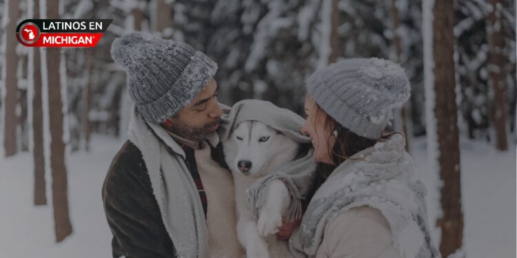 Cómo proteger a tus mascotas durante el frío extremo en Michigan