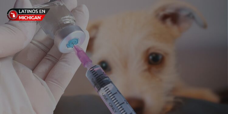 Donación de la Fundación Banfield facilita servicios veterinarios gratuitos