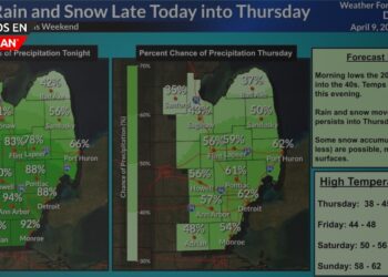 Mezcla de lluvia y nieve llega a Detroit el miércoles